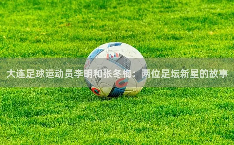 球盟会登录网址百度人工翻译